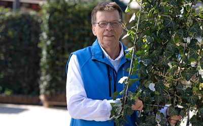 RUHE IM GARTEN, RUHE VOR NEUGIERIGEN BLICKEN!